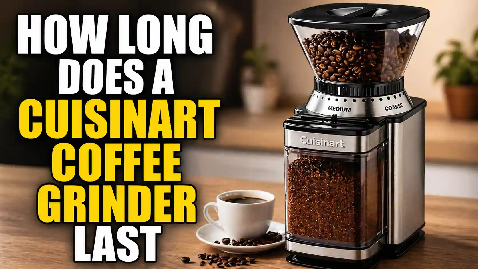 How Long Does a Cuisinart Coffee Grinder Last? (And How to Make It Last Longer)