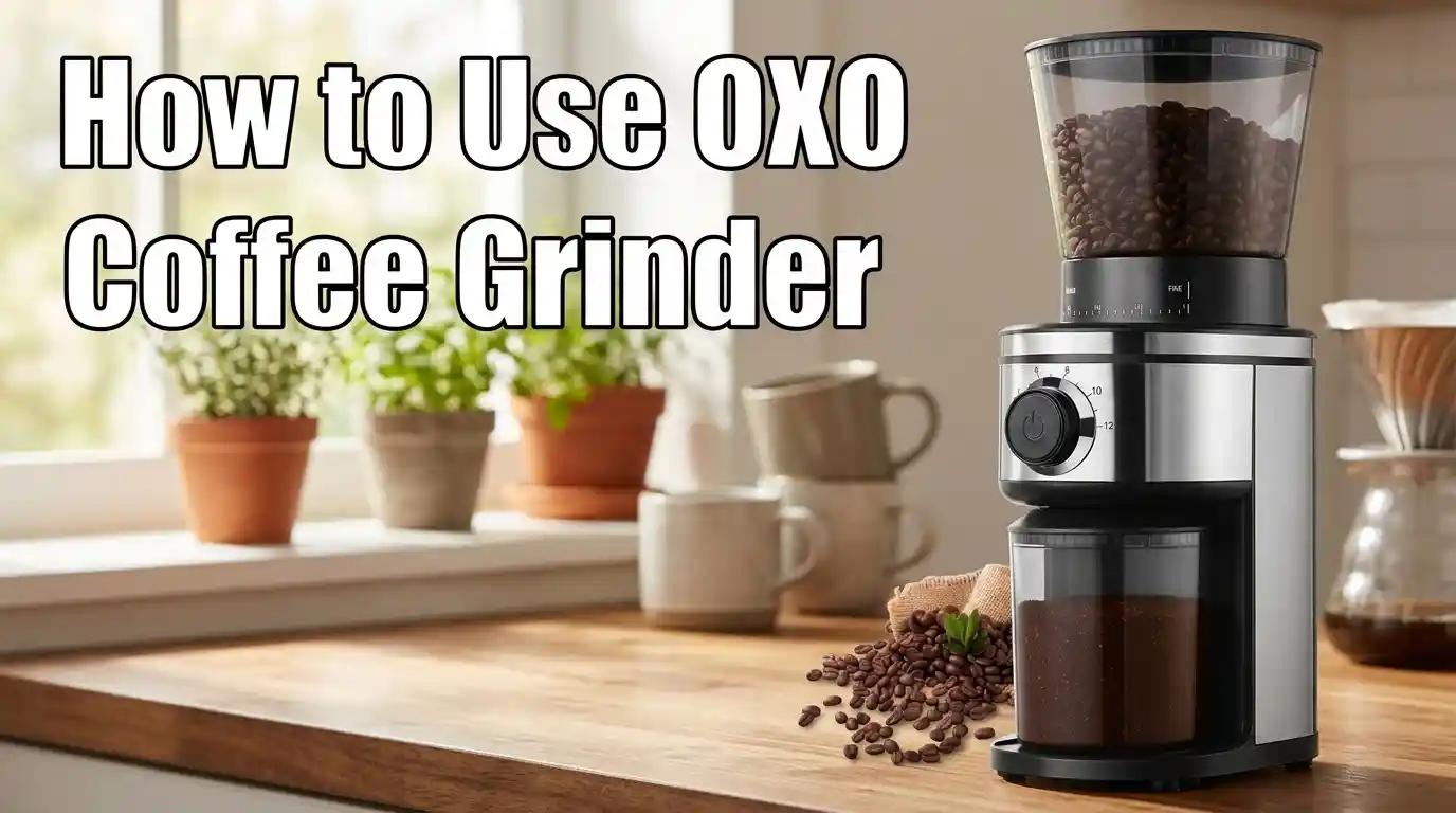 How to Use OXO Coffee Grinder: A Step-by-Step Guide to Better Coffee Every Morning