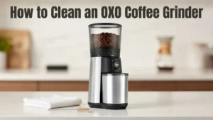 The Ultimate Guide: How to Clean an OXO Coffee Grinder (Without Ruining It)