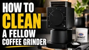 How to Clean a Fellow Coffee Grinder (Step-by-Step Guide)