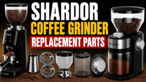SHARDOR Coffee Grinder Replacement Parts: What You Need, Where to Buy, and What Fits