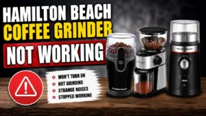 Hamilton Beach Coffee Grinder Not Working? Here Is How To Fix It Fast