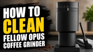 How to Clean Fellow Opus Coffee Grinder (Step-by-Step Guide)