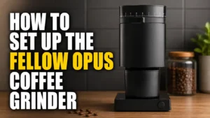 How to Set Up the Fellow Opus Coffee Grinder (Step-by-Step Guide)