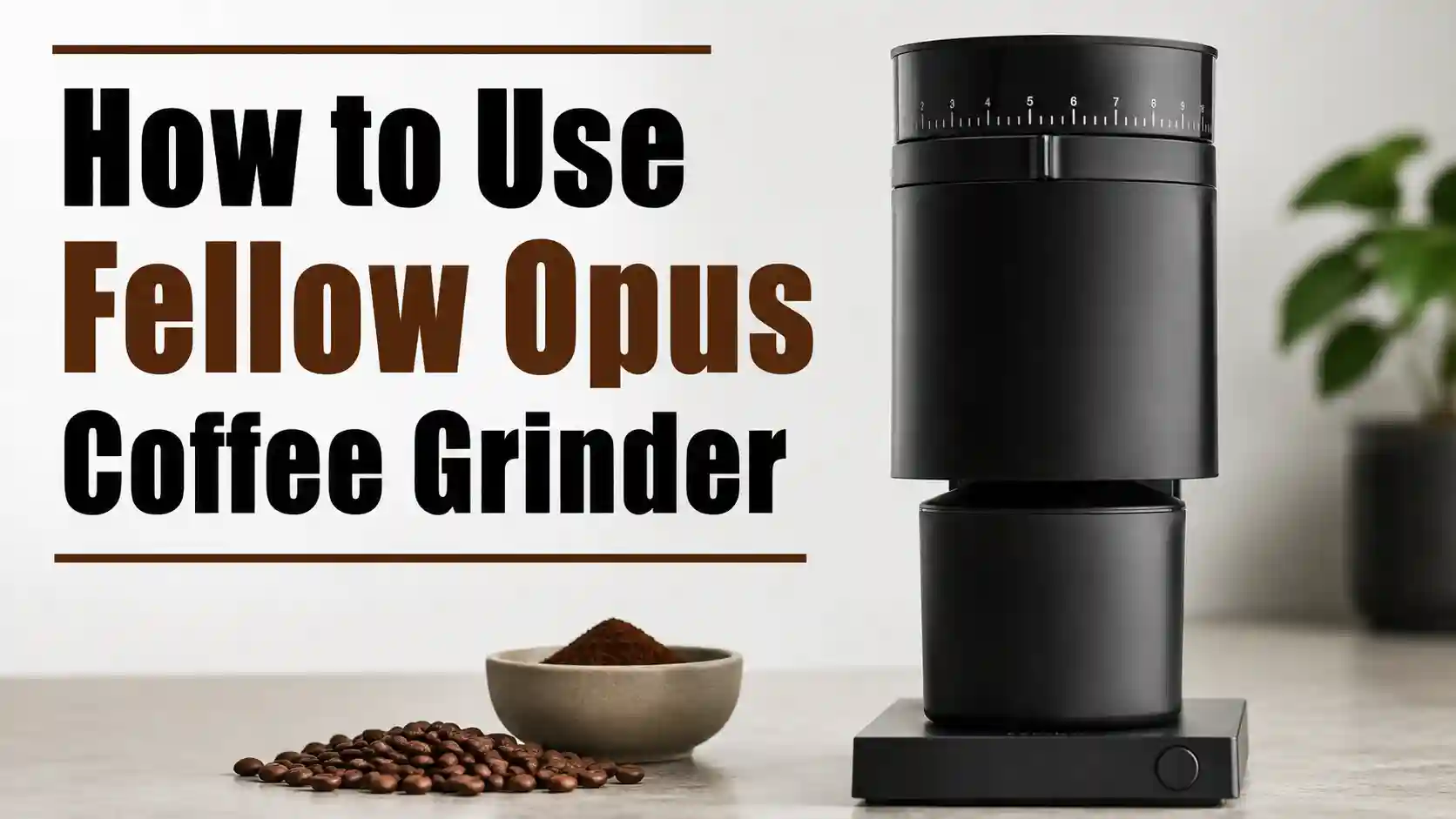 How to Use Fellow Opus Coffee Grinder (Step-by-Step Guide)